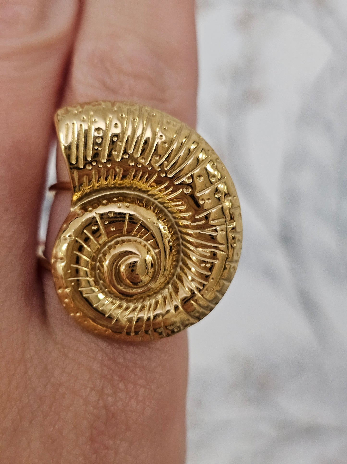 ANILLO CARACOLA